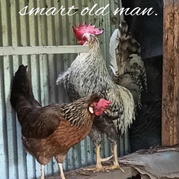 Bits and Pieces - Picture 3 of 5